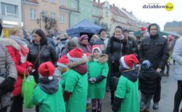 Choinka rozbłysła dziesiątkami światełek