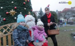 Choinka rozbłysła dziesiątkami światełek