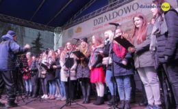 Choinka rozbłysła dziesiątkami światełek