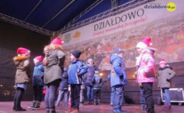 Choinka rozbłysła dziesiątkami światełek