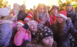 Choinka rozbłysła dziesiątkami światełek