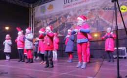 Choinka rozbłysła dziesiątkami światełek