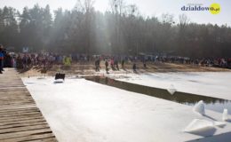 IX Zlot Foczek i Morsów. Jest nowy rekord!