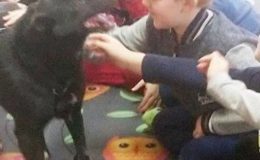 Prasownicy schroniska dla  bezdomnych psów opowiedzieli o swojej pracy