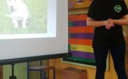 Prasownicy schroniska dla  bezdomnych psów opowiedzieli o swojej pracy