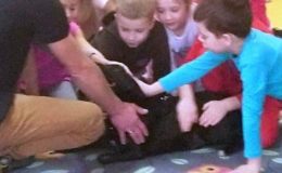Prasownicy schroniska dla  bezdomnych psów opowiedzieli o swojej pracy
