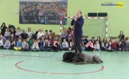 Pomoc dla bezdomnych psów
