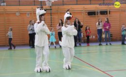 Pomoc dla bezdomnych psów