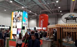 Promocja Działdowa na targach Regiony Turystyczne „Na Styku Kultur” Łódź 2019