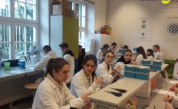 Warsztaty w BioCentrum