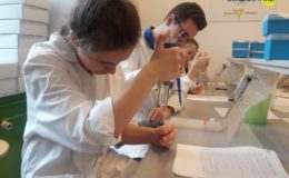 Warsztaty w BioCentrum