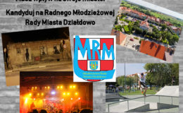 Ruszyły wybory do III kadencji Młodzieżowej Rady Miasta