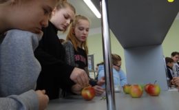 Święto Nauki w Szkole Podstawowej nr 4