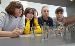 Święto Nauki w Szkole Podstawowej nr 4