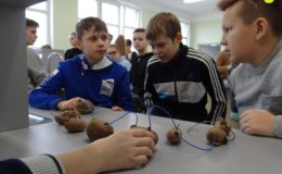 Święto Nauki w Szkole Podstawowej nr 4