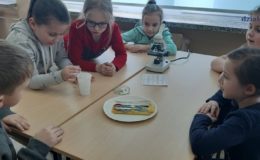 Święto Nauki w Szkole Podstawowej nr 4