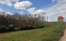 Działdowianie na I edycji biegów RadunkaRun