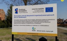 Po raz pierwszy organizacje i stowarzyszenia spotkały się w Dworku Bülowa [zdjęcia]