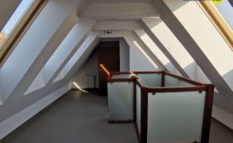 Po raz pierwszy organizacje i stowarzyszenia spotkały się w Dworku Bülowa