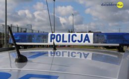sygnalizator świetlny policyjny