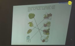 „Żyj bezpiecznie, zdrowo i ekologicznie” – konkurs dla przedszkolaków