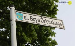 Przetarg nieograniczony na przebudowę ulicy Boya-Żeleńskiego