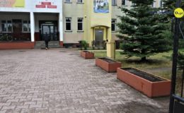 Licealiści z Polnej zachęcają do sadzenia roślin miododajnych