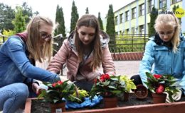 Licealiści z Polnej zachęcają do sadzenia roślin miododajnych