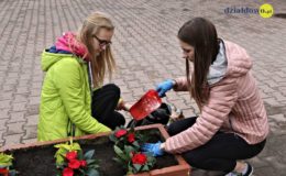 Licealiści z Polnej zachęcają do sadzenia roślin miododajnych