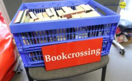 Odjazdowy Bibliotekarz – rajd rowerowy