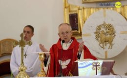 Odpust, Marsz dla Życia i Rodziny i festyn rodzinny