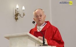 Odpust, Marsz dla Życia i Rodziny i festyn rodzinny
