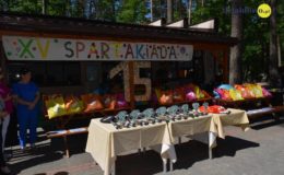 XV Spartakiada „Z Wiosną po Zdrowie”