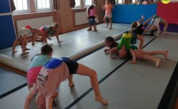 Akrobatyka i tricking na wesoło
