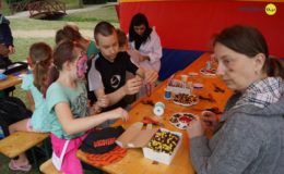 Piknik dla dzieci i dorosłych