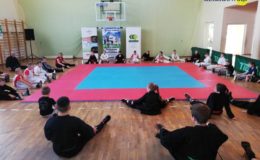 Otwarte Mistrzostwa Polski Juniorów i Młodzików w Kempo Tai Jutsu