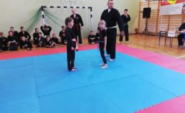 Otwarte Mistrzostwa Polski Juniorów i Młodzików w Kempo Tai Jutsu