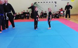 Otwarte Mistrzostwa Polski Juniorów i Młodzików w Kempo Tai Jutsu