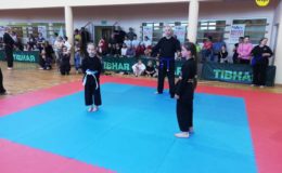 Otwarte Mistrzostwa Polski Juniorów i Młodzików w Kempo Tai Jutsu