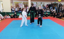 Otwarte Mistrzostwa Polski Juniorów i Młodzików w Kempo Tai Jutsu