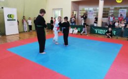 Otwarte Mistrzostwa Polski Juniorów i Młodzików w Kempo Tai Jutsu