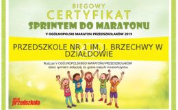 „Wspólnie z innymi przedszkolakami pokonaliśmy  dystans maratonu”