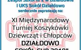 Zapraszamy do kibicowania naszym drużynom - Sokół Cup 2019