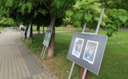 Elżbieta Zakrzewska i Marcin Troński  rozwiązywali zagadkę sprzed lat