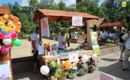 W miniony weekend (28-29 czerwca) Działdowo uczestniczyło w X Festiwalu Miast Cittaslow w Górowie Iławeckim