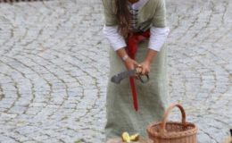 Turniej Rycerski na zamku w Działdowie