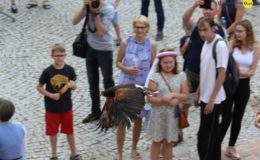 Turniej Rycerski na zamku w Działdowie