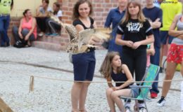 Turniej Rycerski na zamku w Działdowie