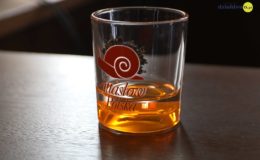 IX Sesja Rady Miasta Działdowo – 22.08.2019 r.
