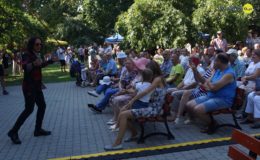 Koncerty, zlot i dobra zabawa.  Działdowskiego Jarmarku Antyków, Rękodzieła i Zdrowej Żywności